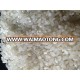 JAPONICA RICE/SUSHI RICE/ROUND RICE/CALROSE RICE/SHORT GRAIN WHITE RICE